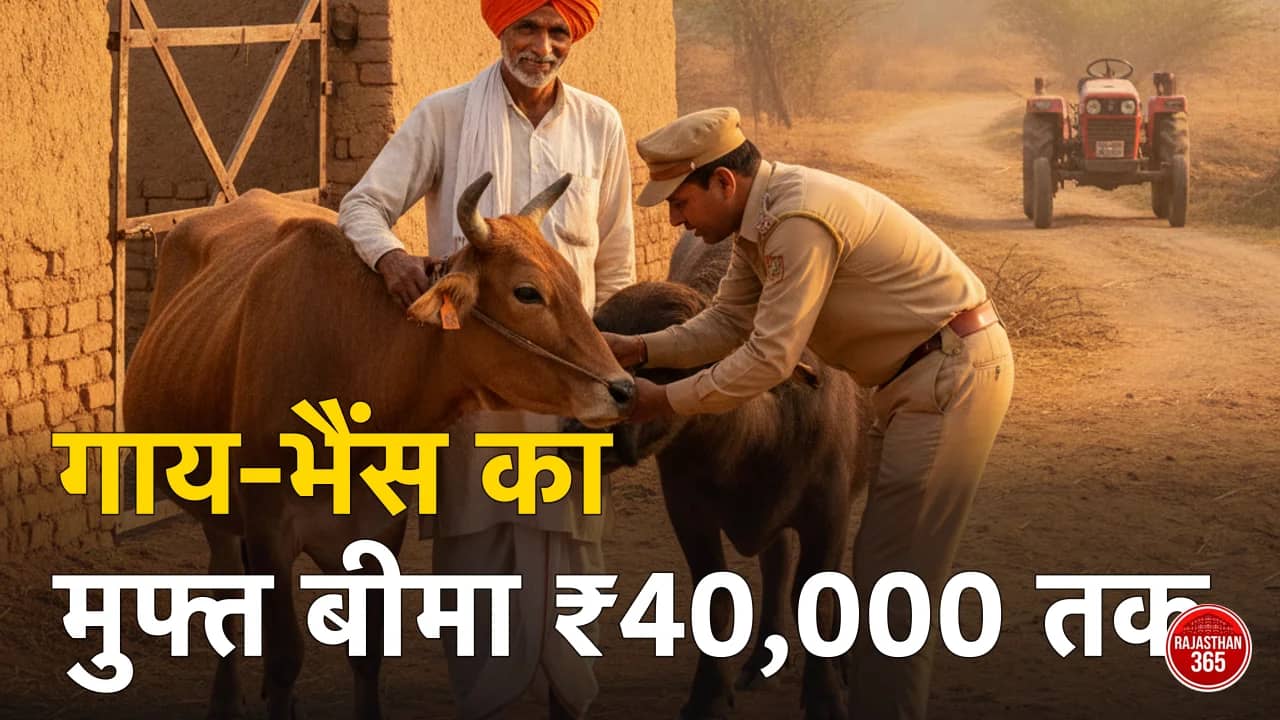 मंगला पशु बीमा योजना 2026: गाय-भैंस का ₹40,000 तक मुफ्त बीमा — आवेदन कहां करें, टैग का नियम और क्लेम की असली हालत